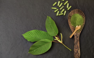 How to Use Kratom Powder: A Comprehensive Guide