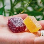 Uncovering the World of Delta 8 Edibles: What You Can Anticipate with This Guide